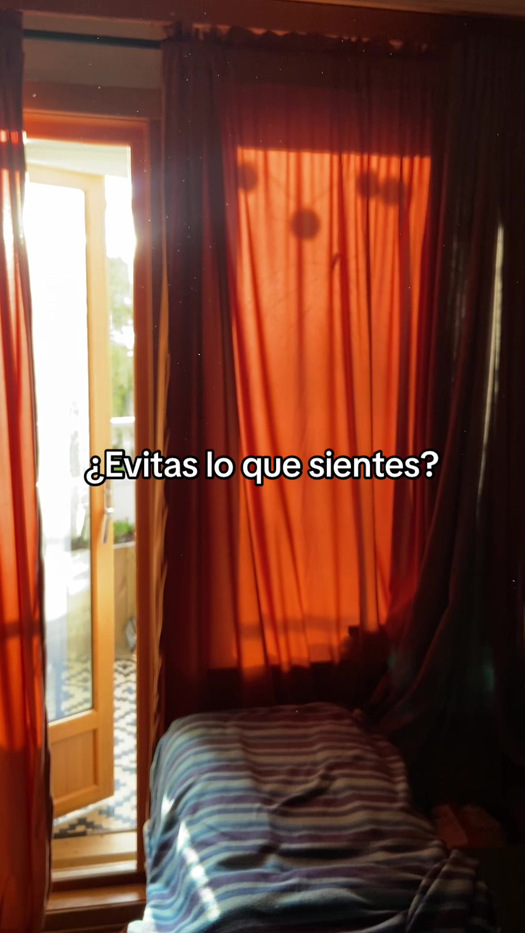 @Ana Garla