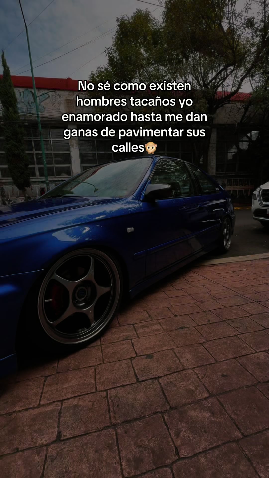 @Rulo 🚙