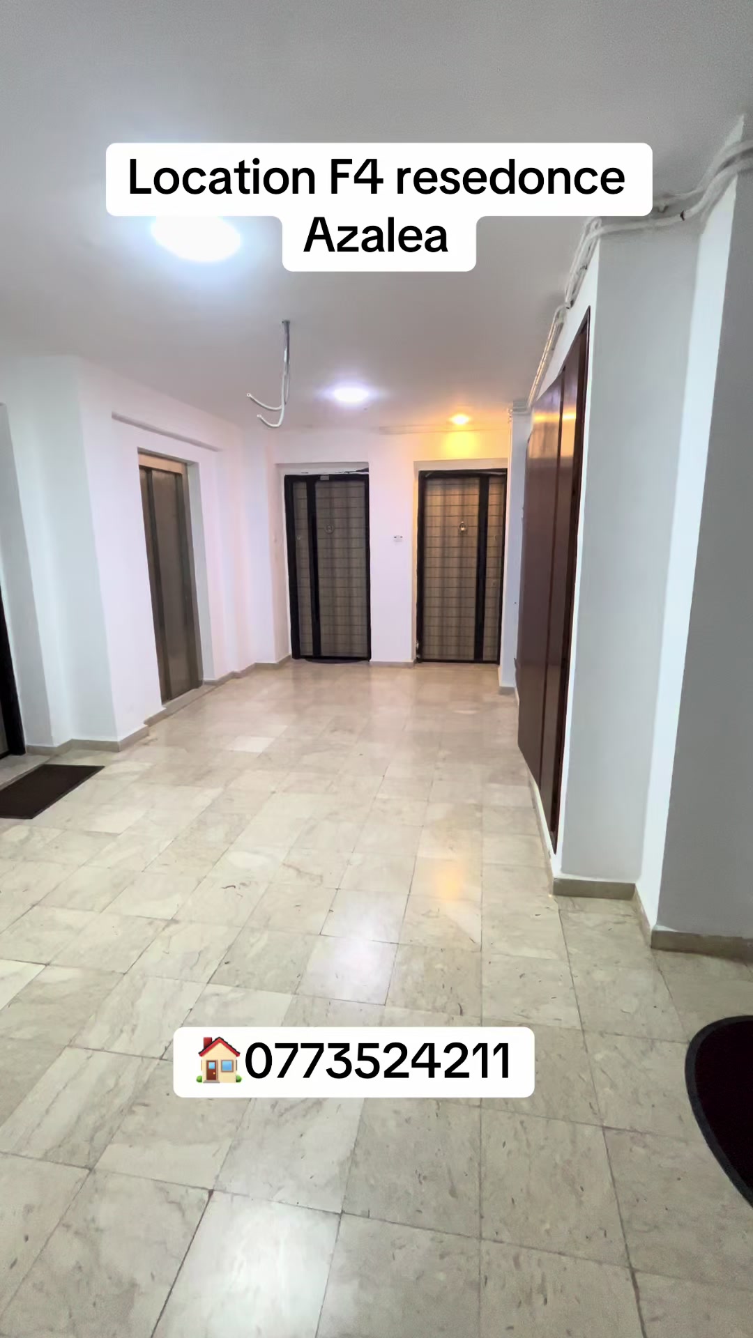 @Chahine immobilière
