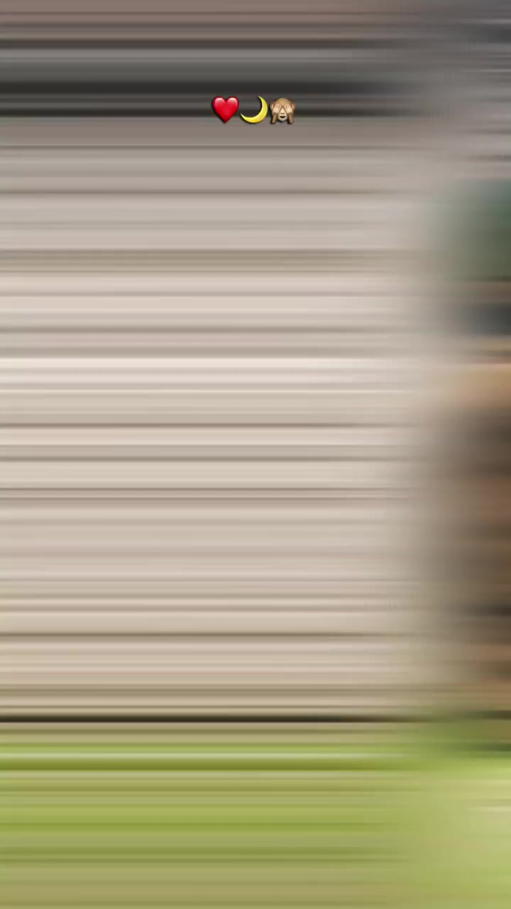 @❥︎🇲 𝗥 🇲𝗔𝗔𝗡♕︎
