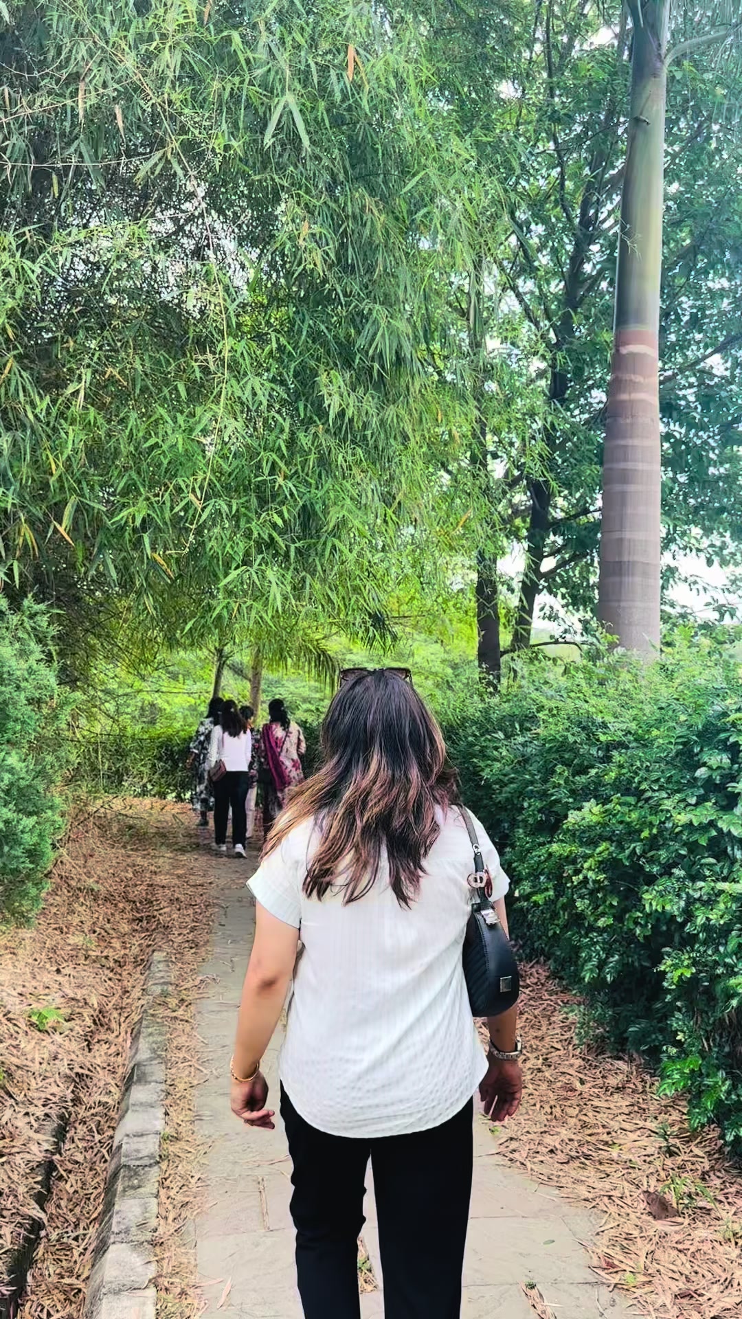 @Dakshu🌸🌸