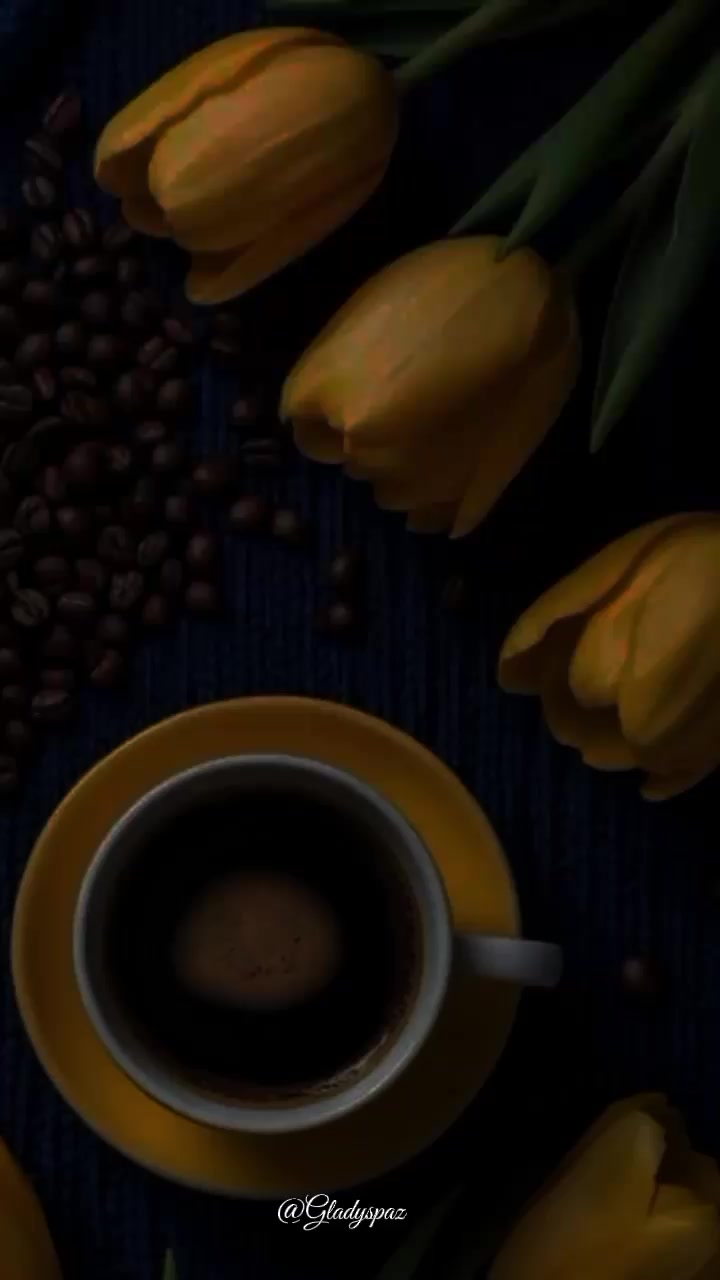 @𝐺𝐿𝐴𝐷𝑌𝑆 𝑃𝐴𝑍