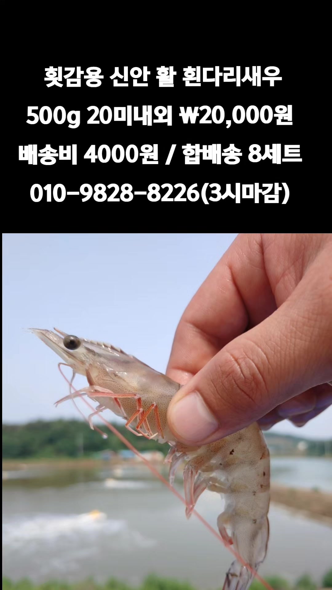 @똑손