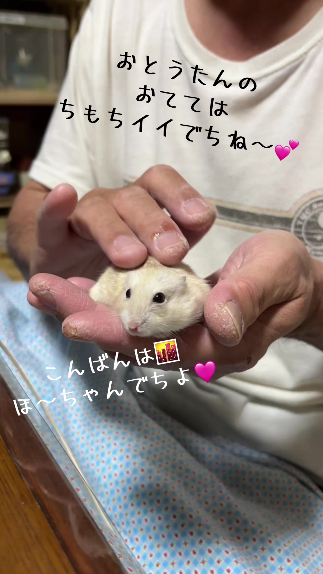 @big mama 🐹🐕🧅💜