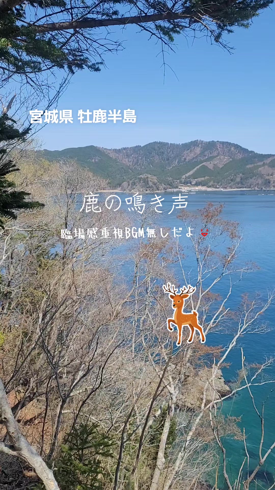@cjカオル