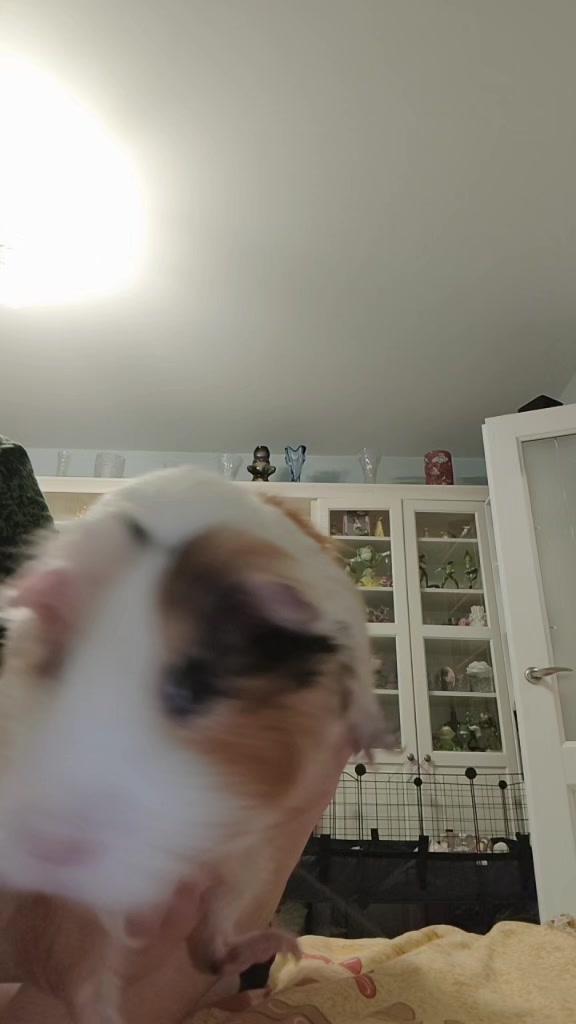 @RYVU