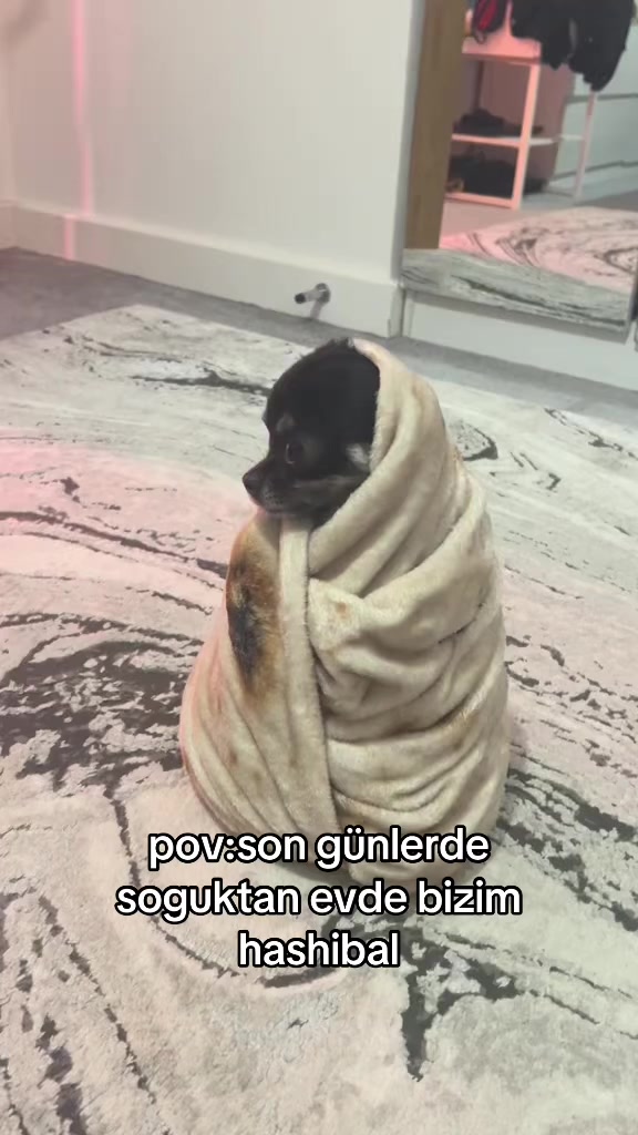 @ℯ