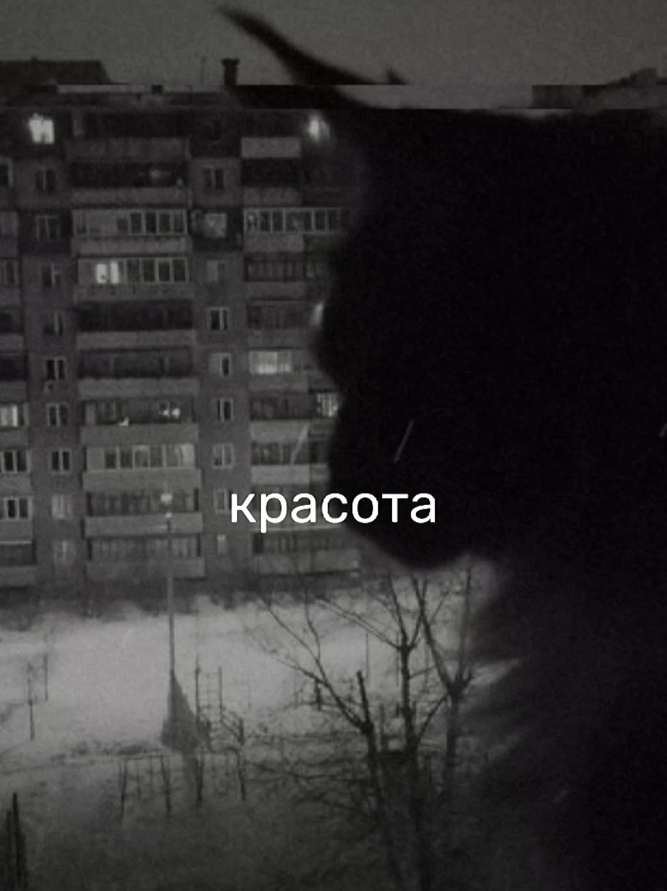 @я твоё зеркало