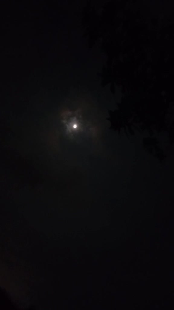 @ফুল🌸🌼