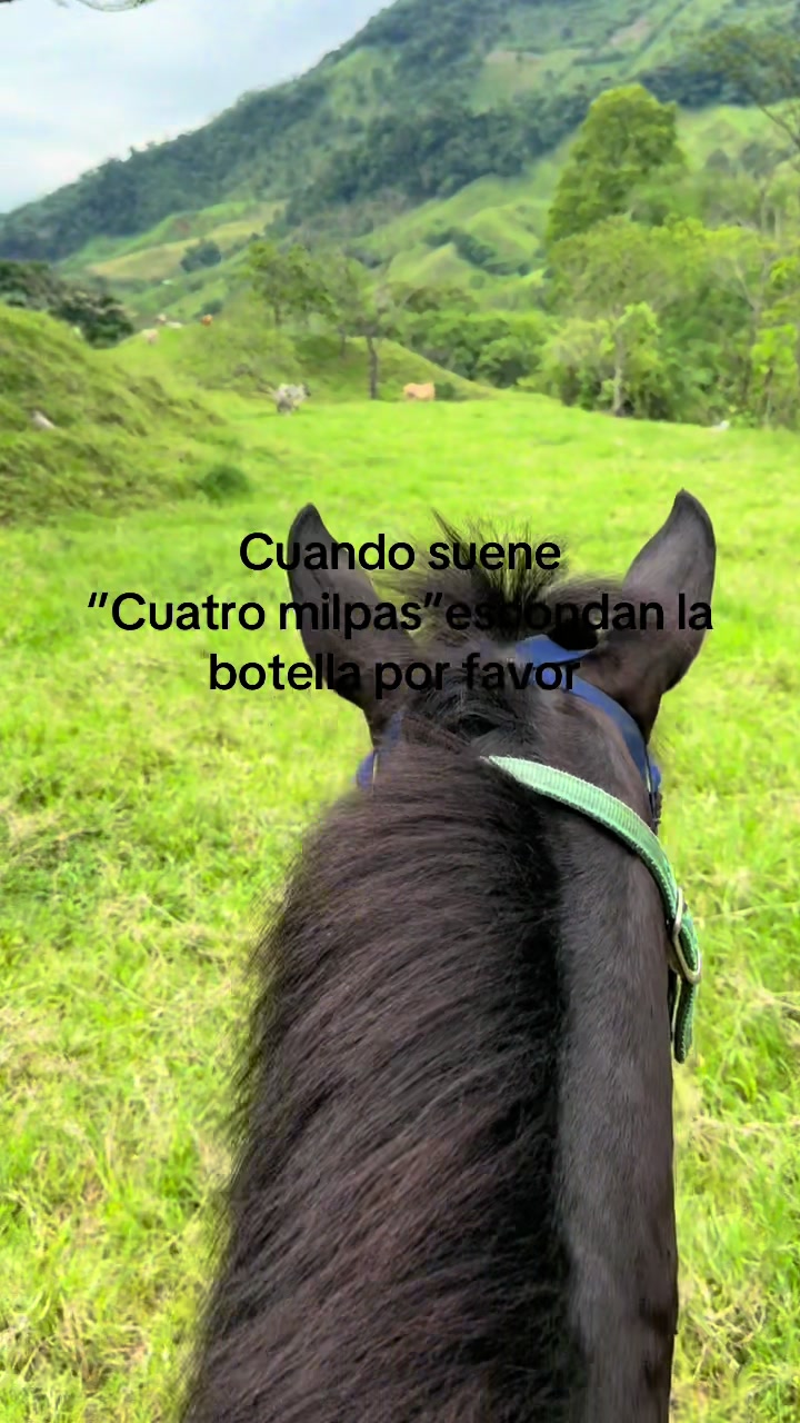 @Bandido De Amores 🥴