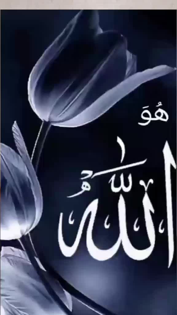 @Abida
