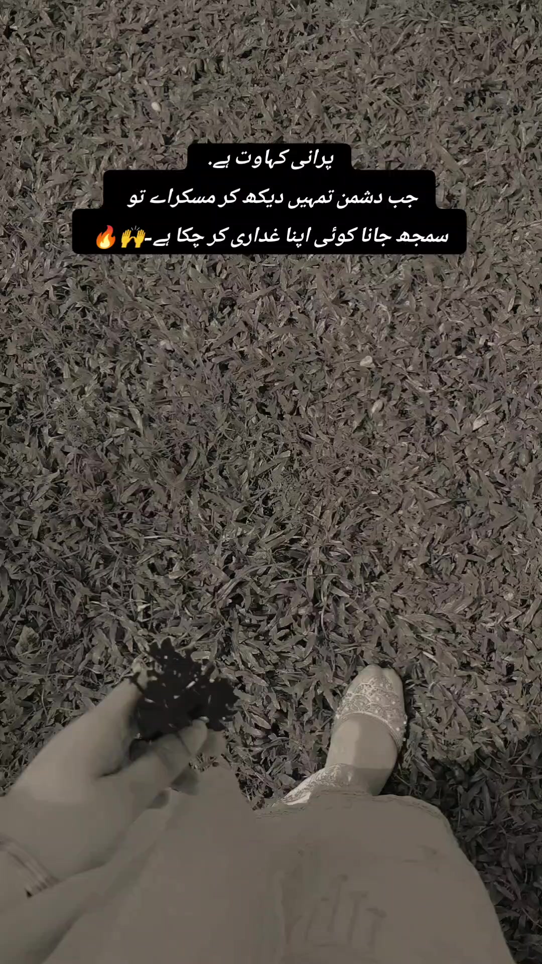 @𝓶𝓺𝓭𝓼𝓱𝓺𝓵🕊️🐼