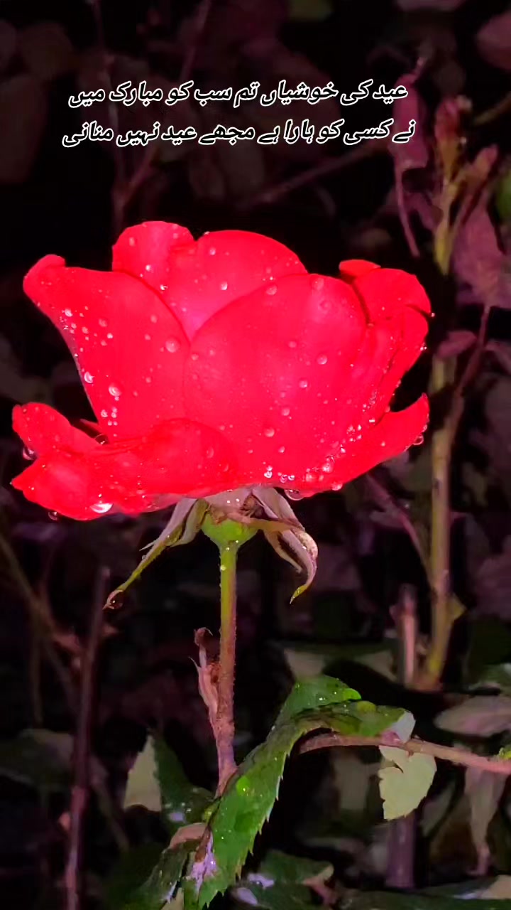 @💫❤️🔥دل کا بادشاہ❤️🔥💫