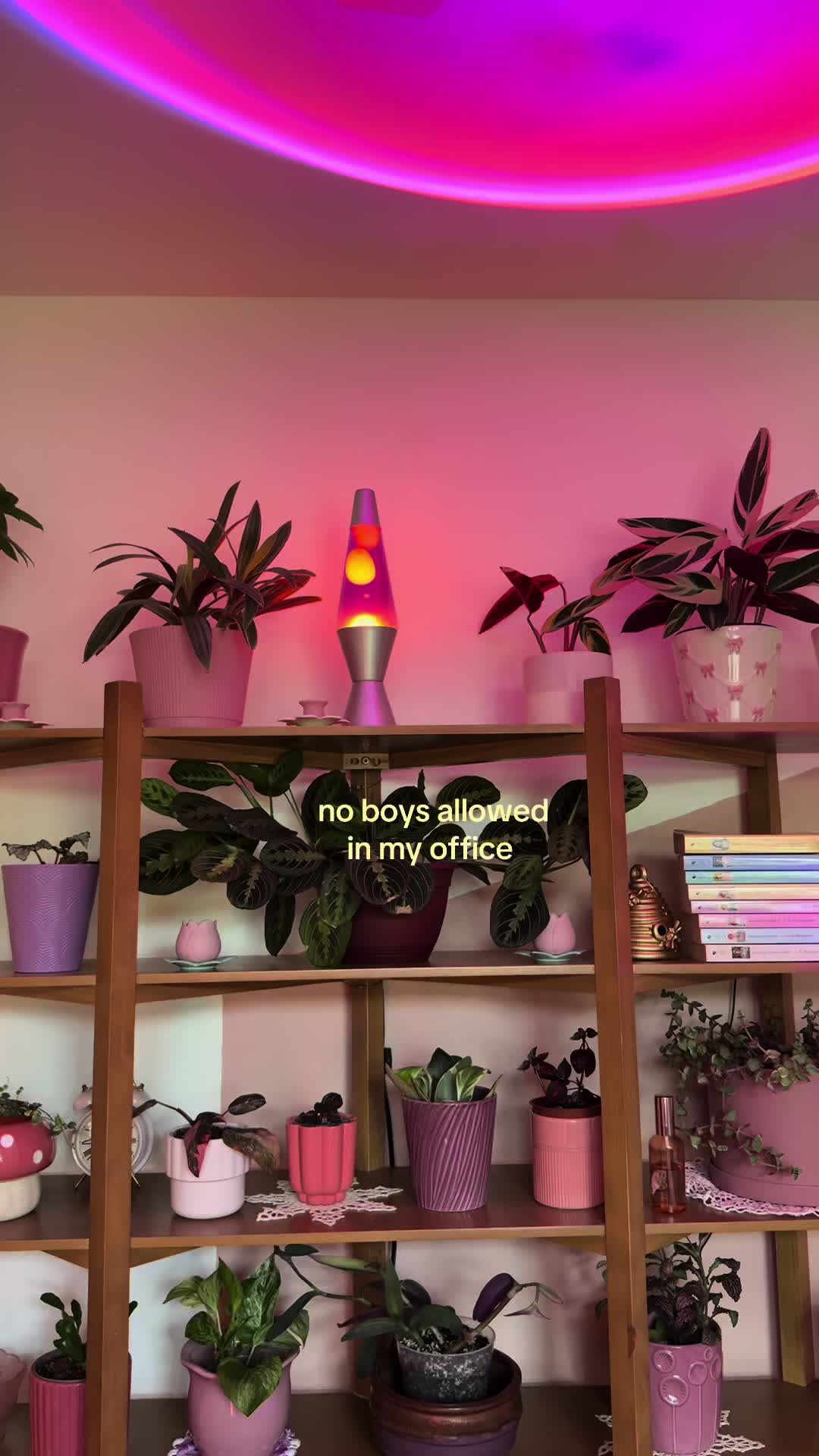 @Simonne’s Cozy at Home 🌺 🪴