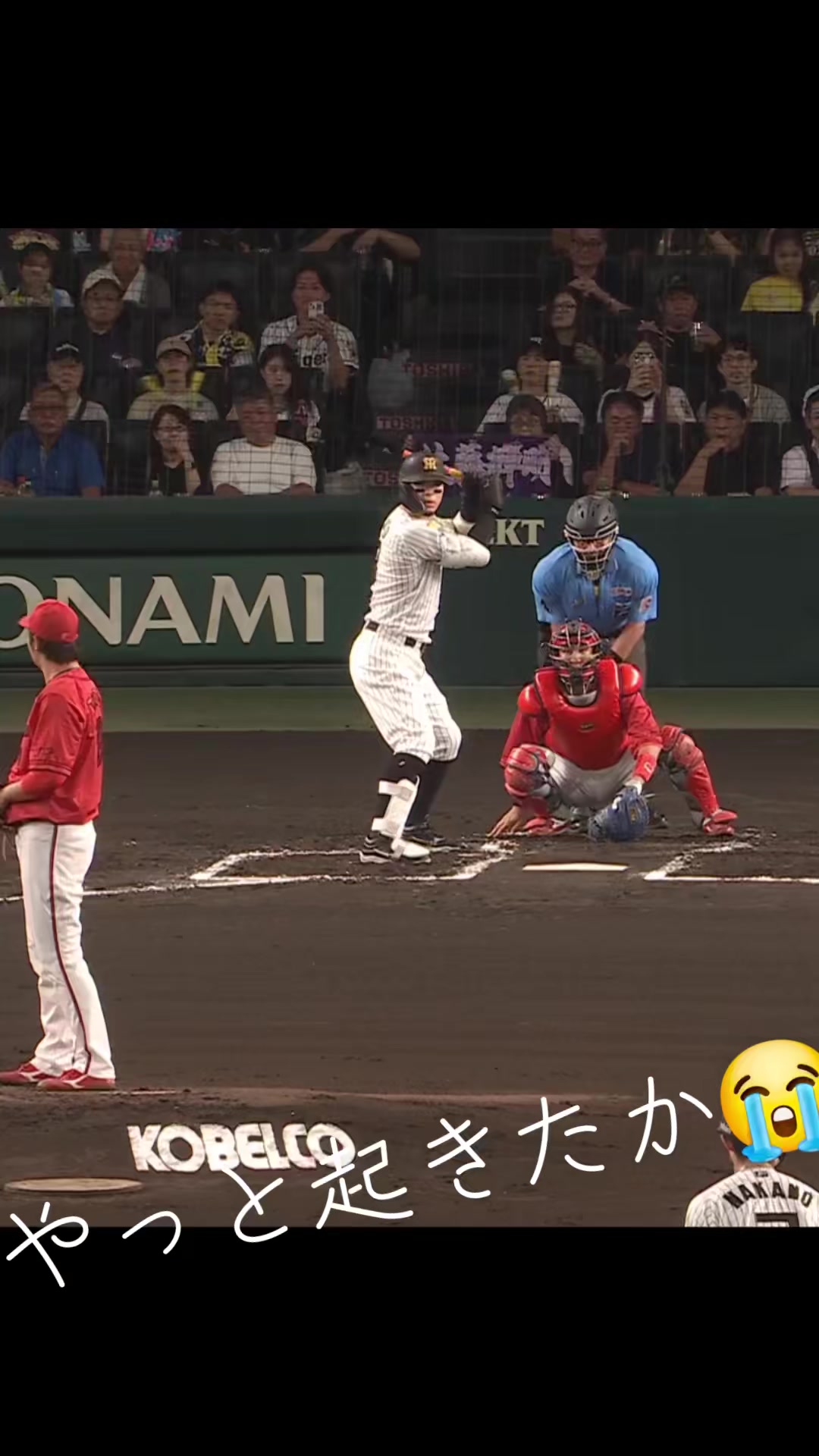 @🍑🐯トライダー🐯🍑