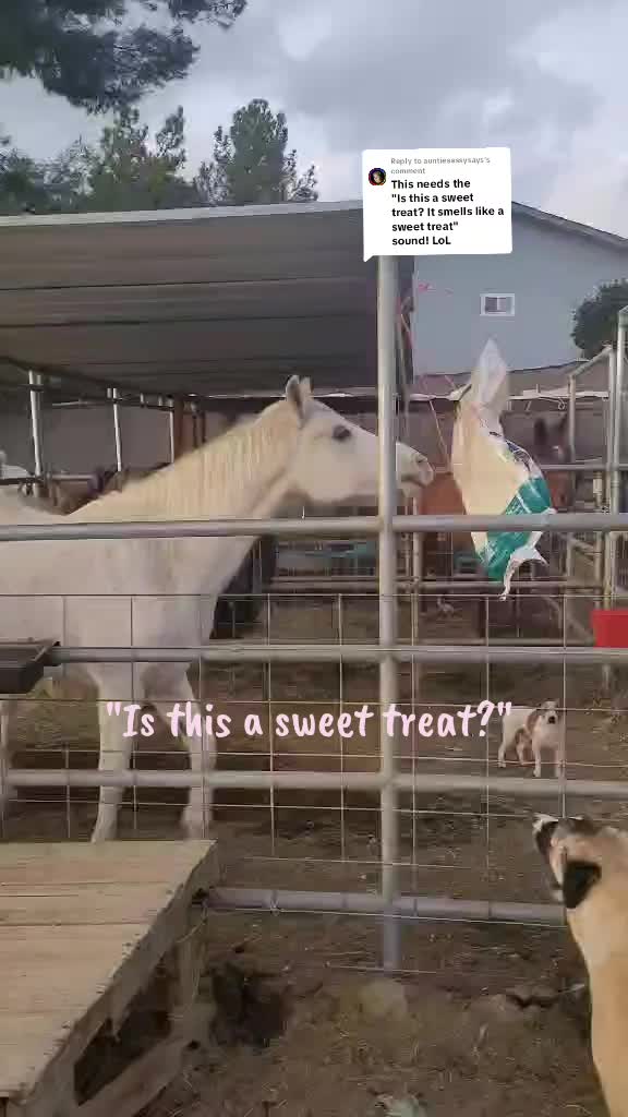 @VioletHorizonsFarm