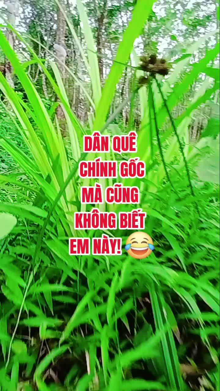 @Tạp hóa Khang Khang