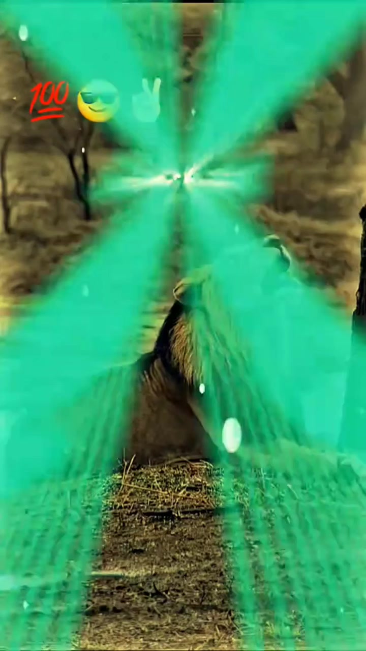 @03029013592