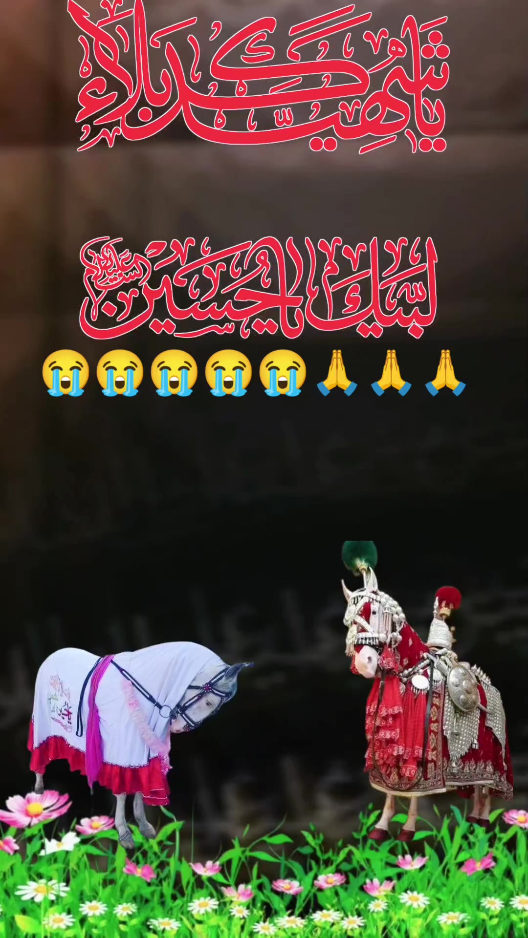 @👸مخدوم زادی پاکیزہ قریشی 🇺🇸