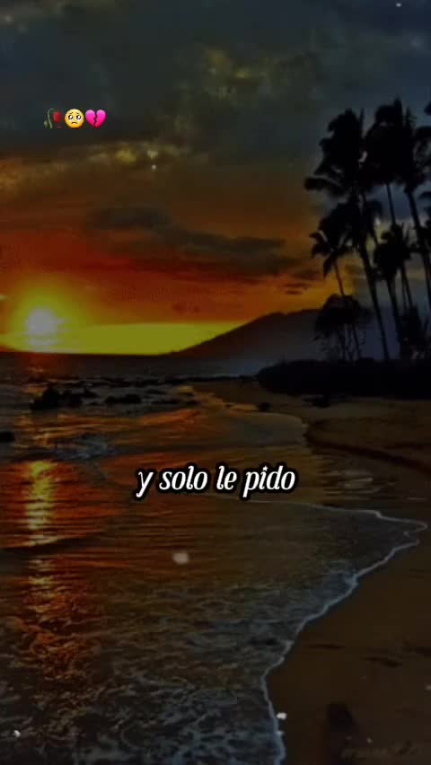 @mayli morgas