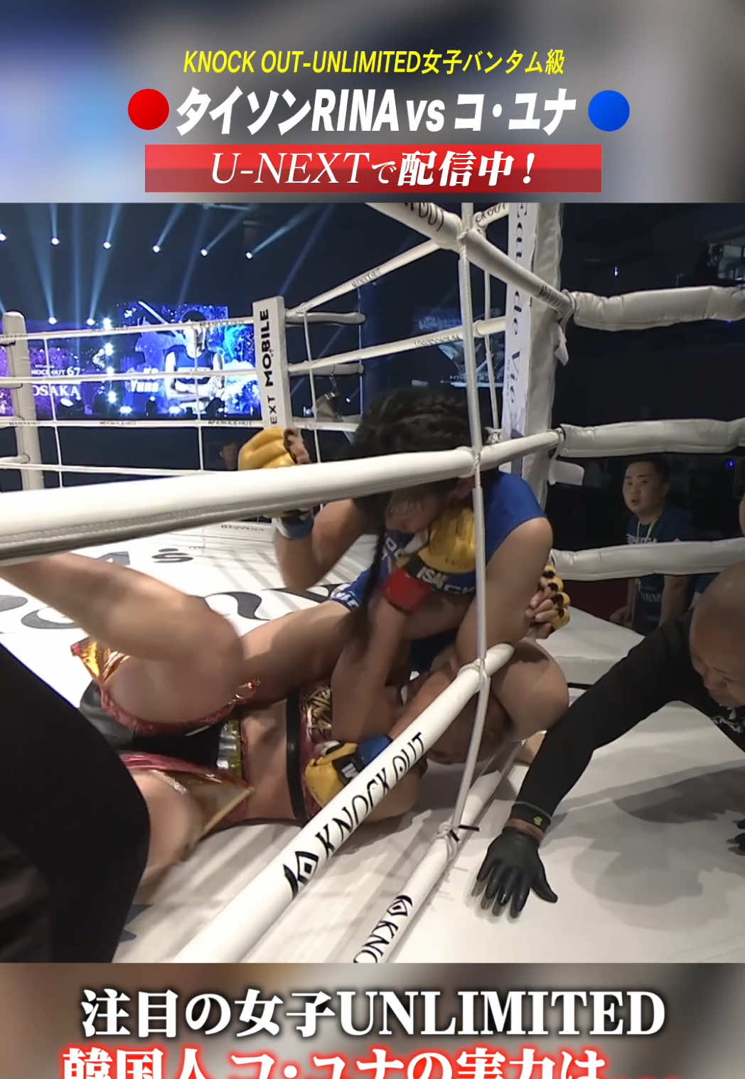@KNOCK OUT(ノックアウト)公式