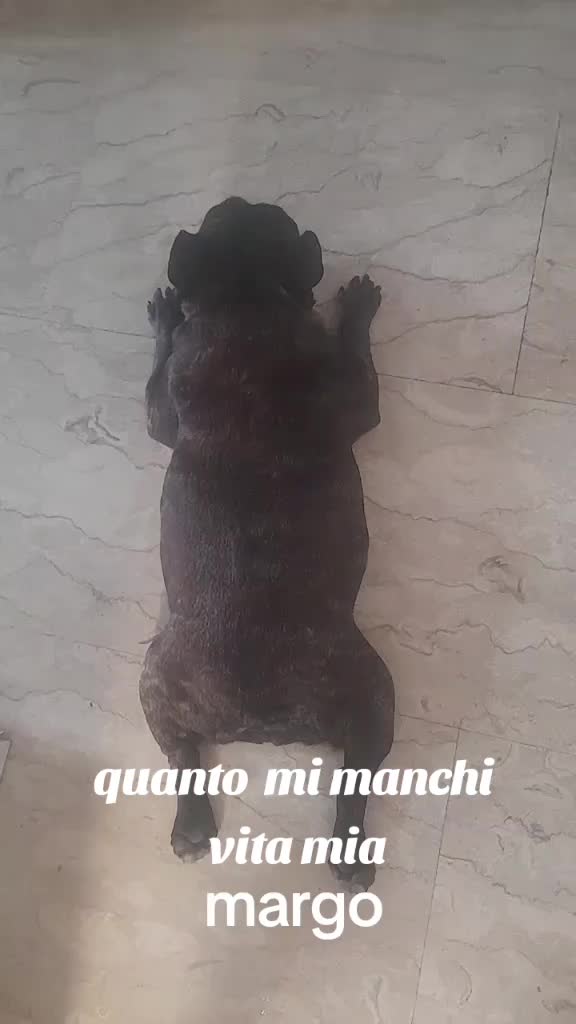 @tiziana