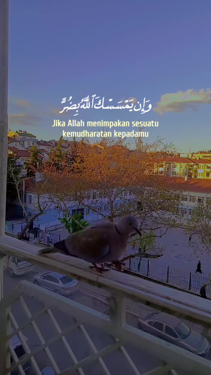 @💎أميـࢪة بأخـ☆ـلاقـي🪞