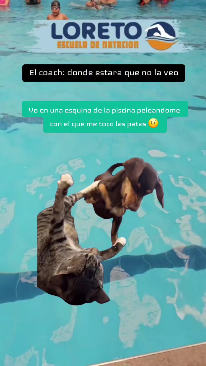 @Escuela de NATACION Loreto