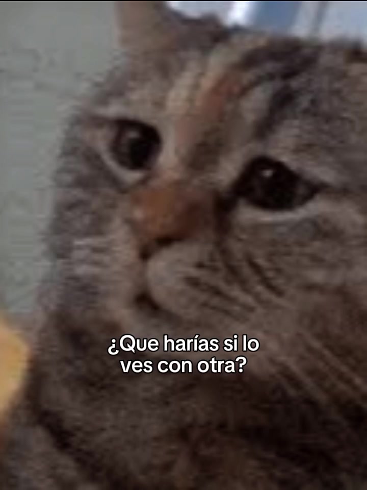 @Flaca