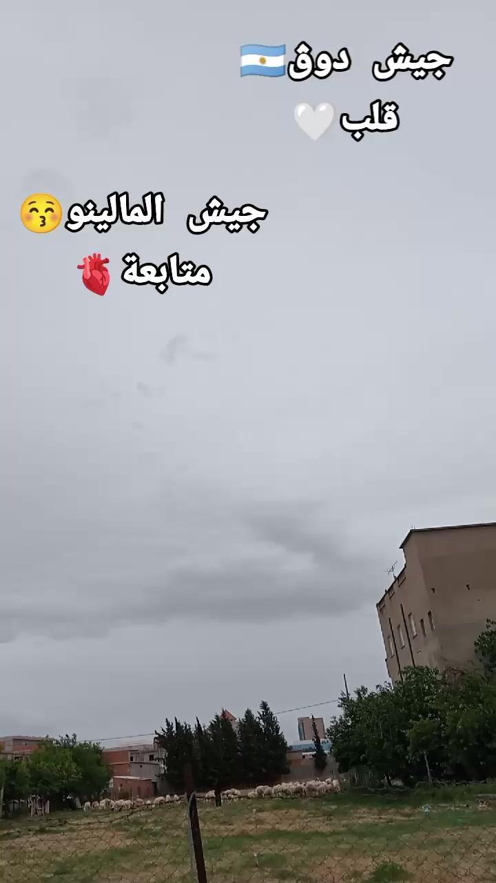 @19๐ฆ
๐ค