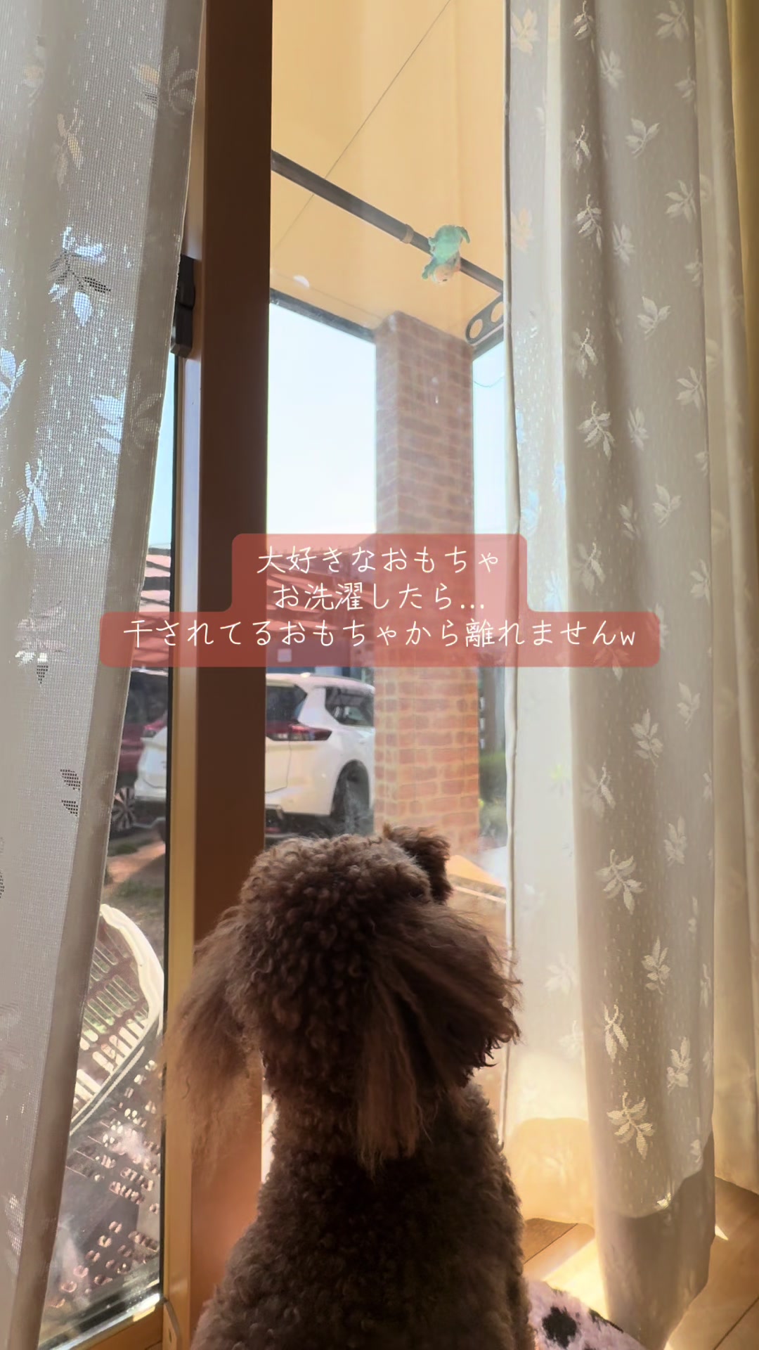 @kamachokopu