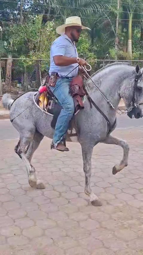 @Onell G. Henríquez