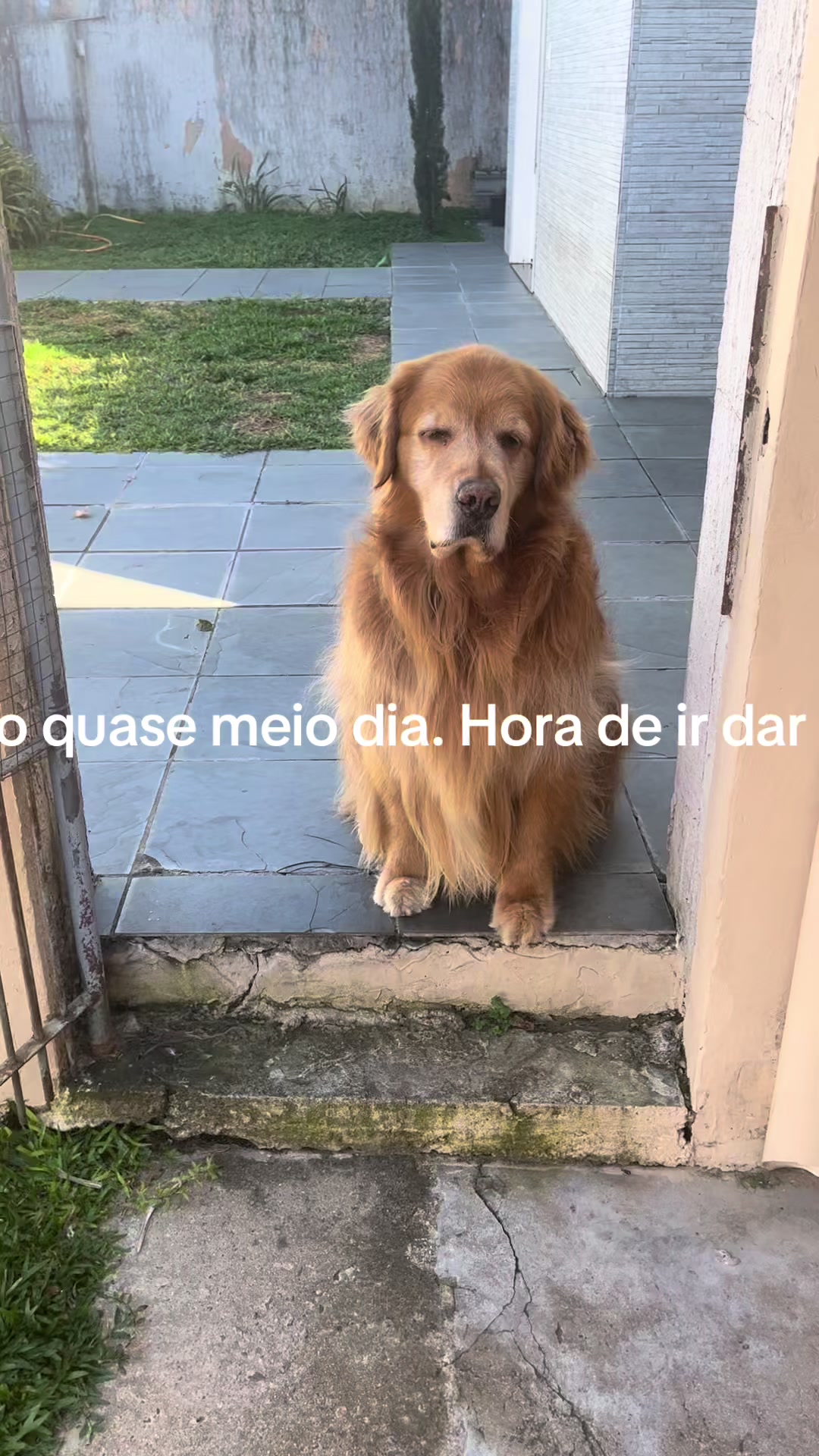 @CHICO PAVELSKI Oficial