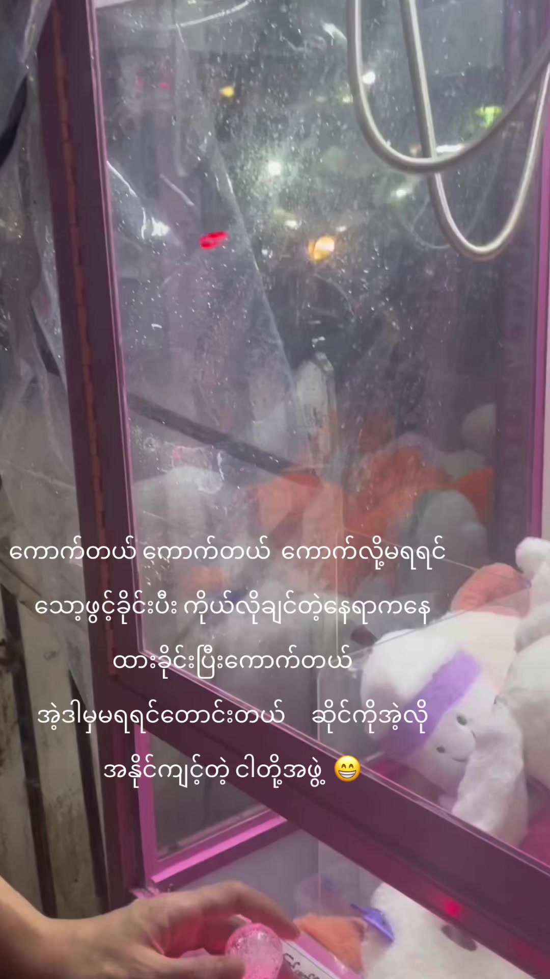 @🍀 Khun Mai 🍀   🌻Win 🌻