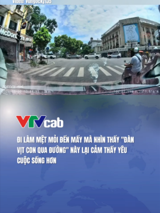 @VTVcab Trending - Giải trí