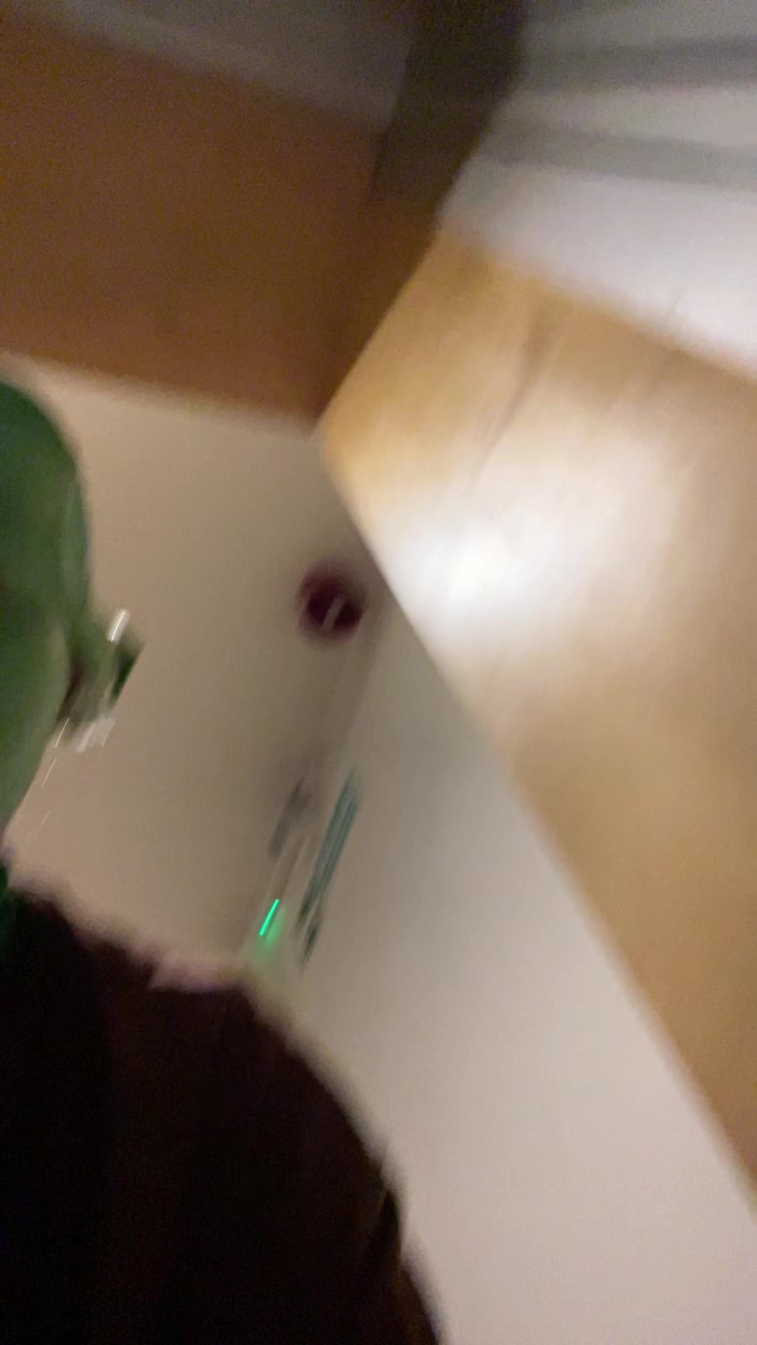 @ayluu