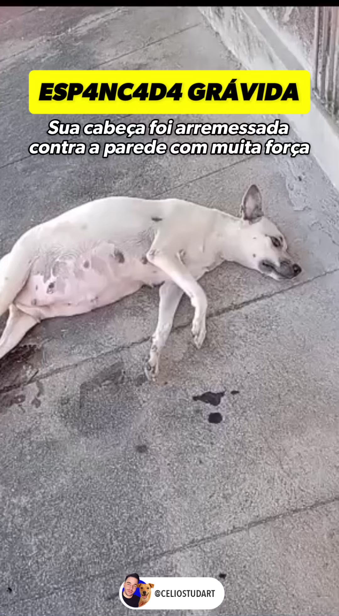 @celiostudart