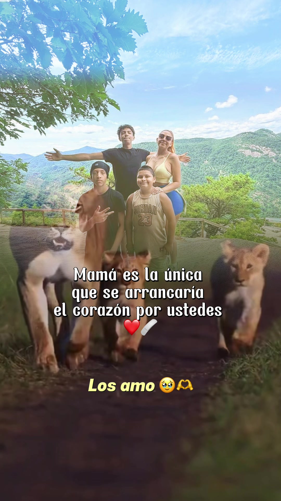 @Sandy Rosales