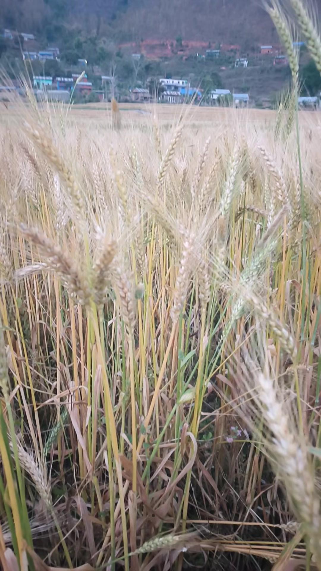 @जीवन सहारा हस्पिटल