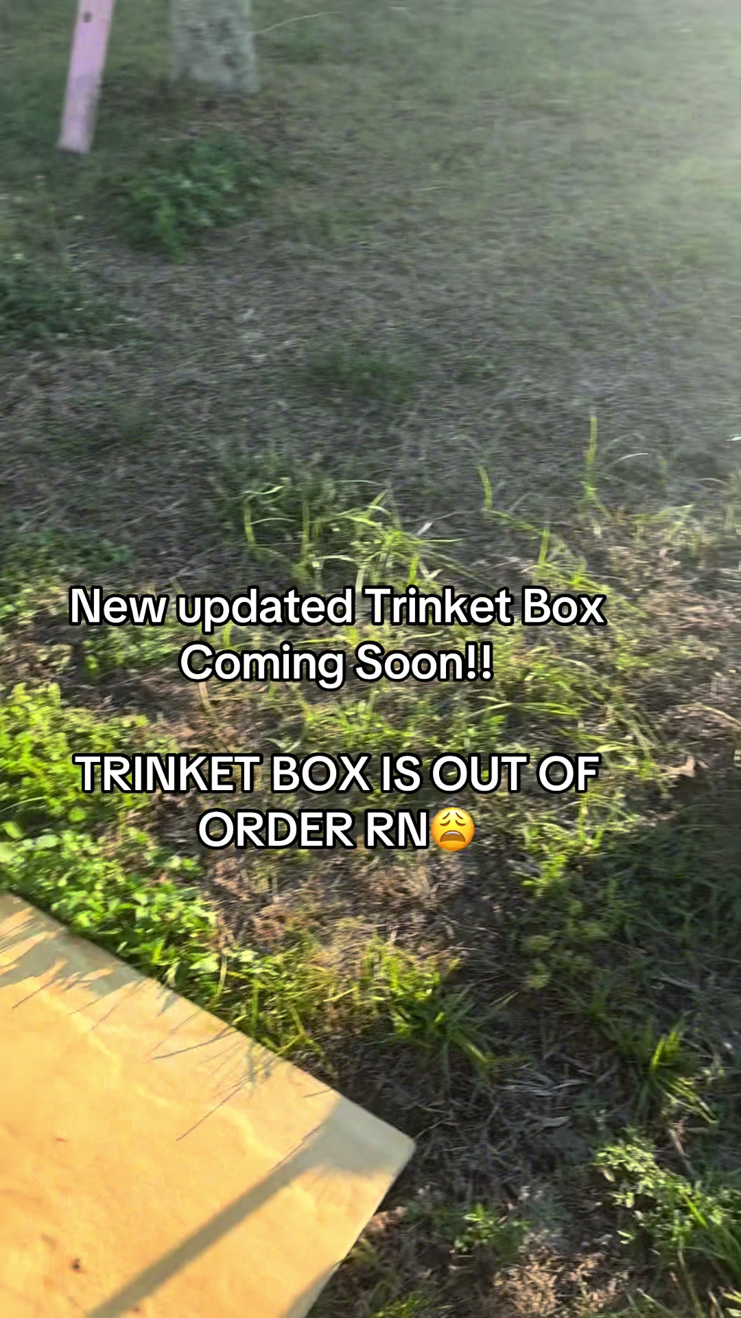 @🎀SWFL TRINKETS🎀