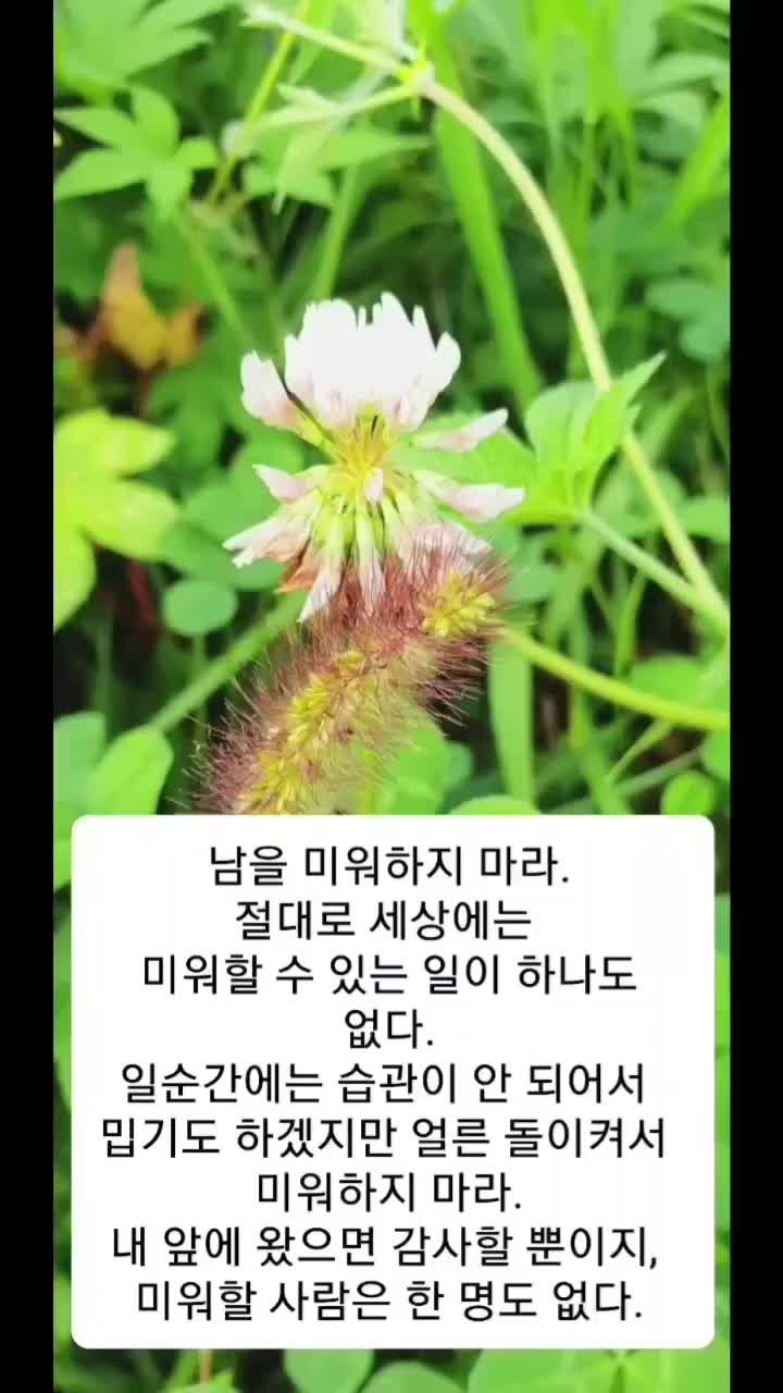 @자유로운 영혼