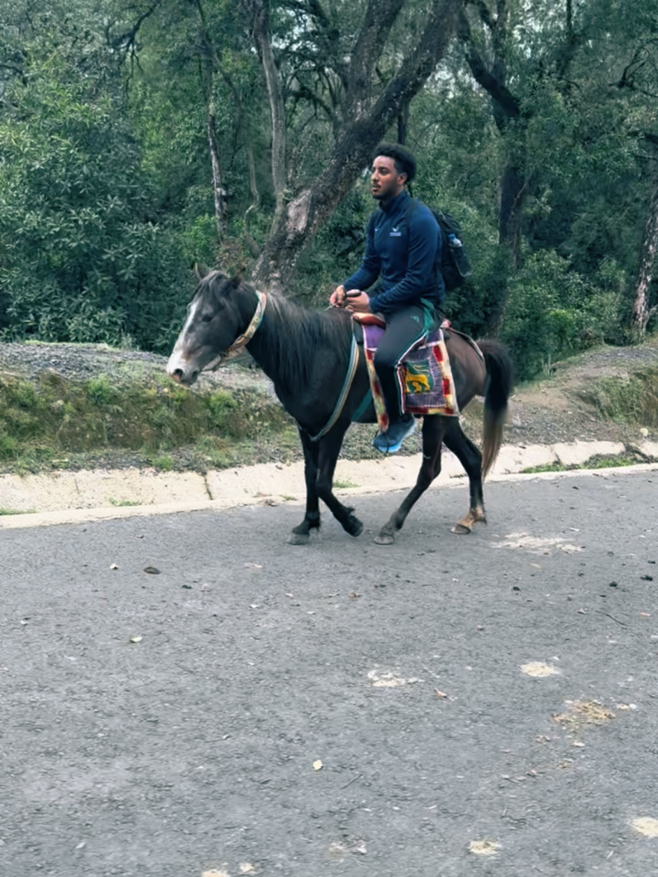 @Enjoy Travel