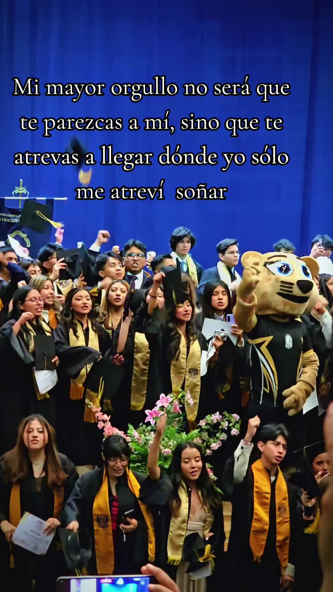 @lia