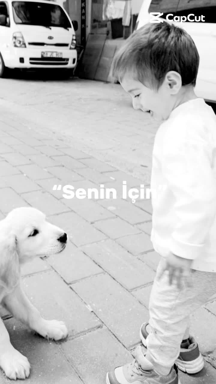 @&Ccedil;i&ccedil;ek Ailesi 🌸