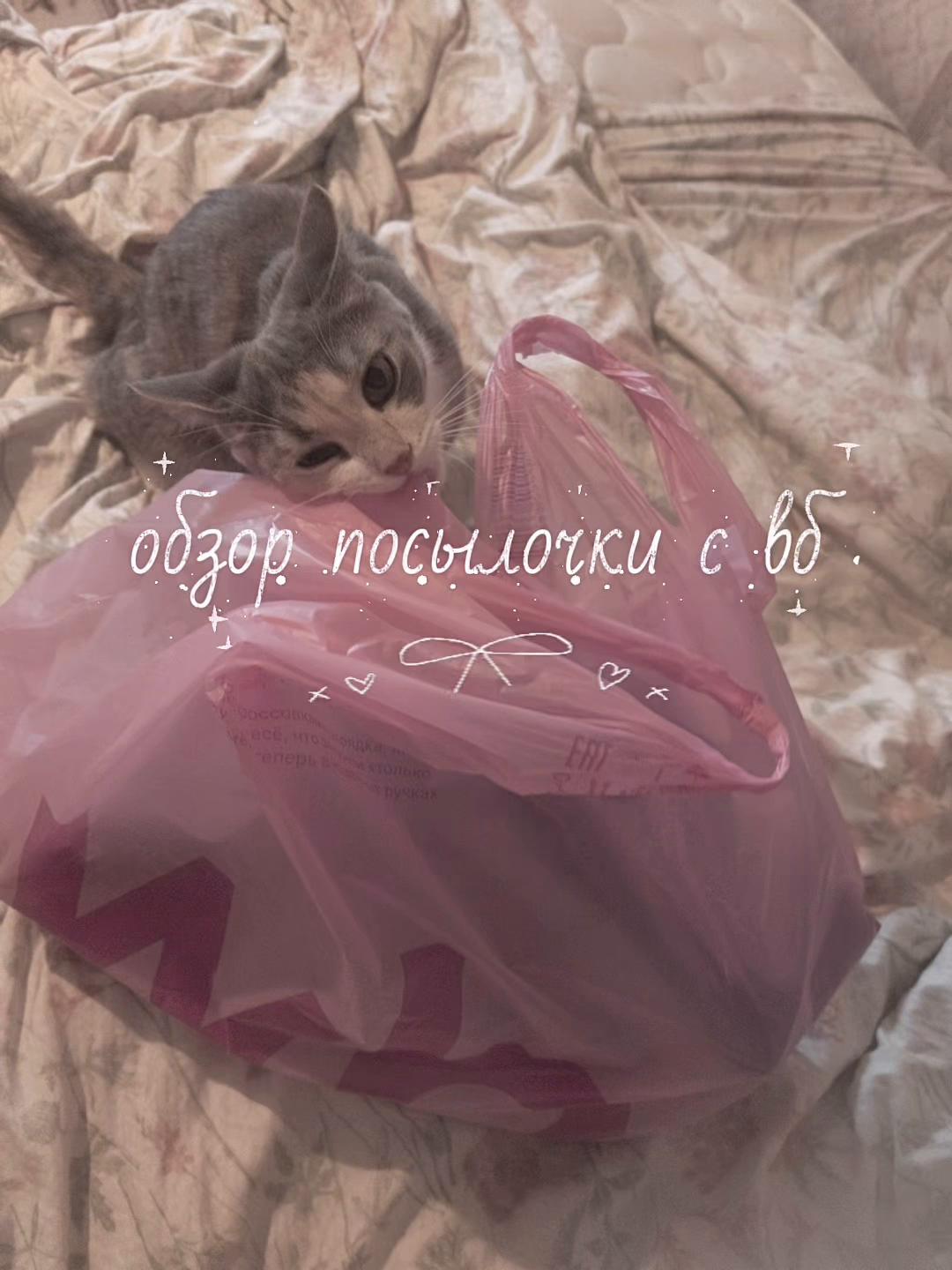 @✧ kris.quiet ✧