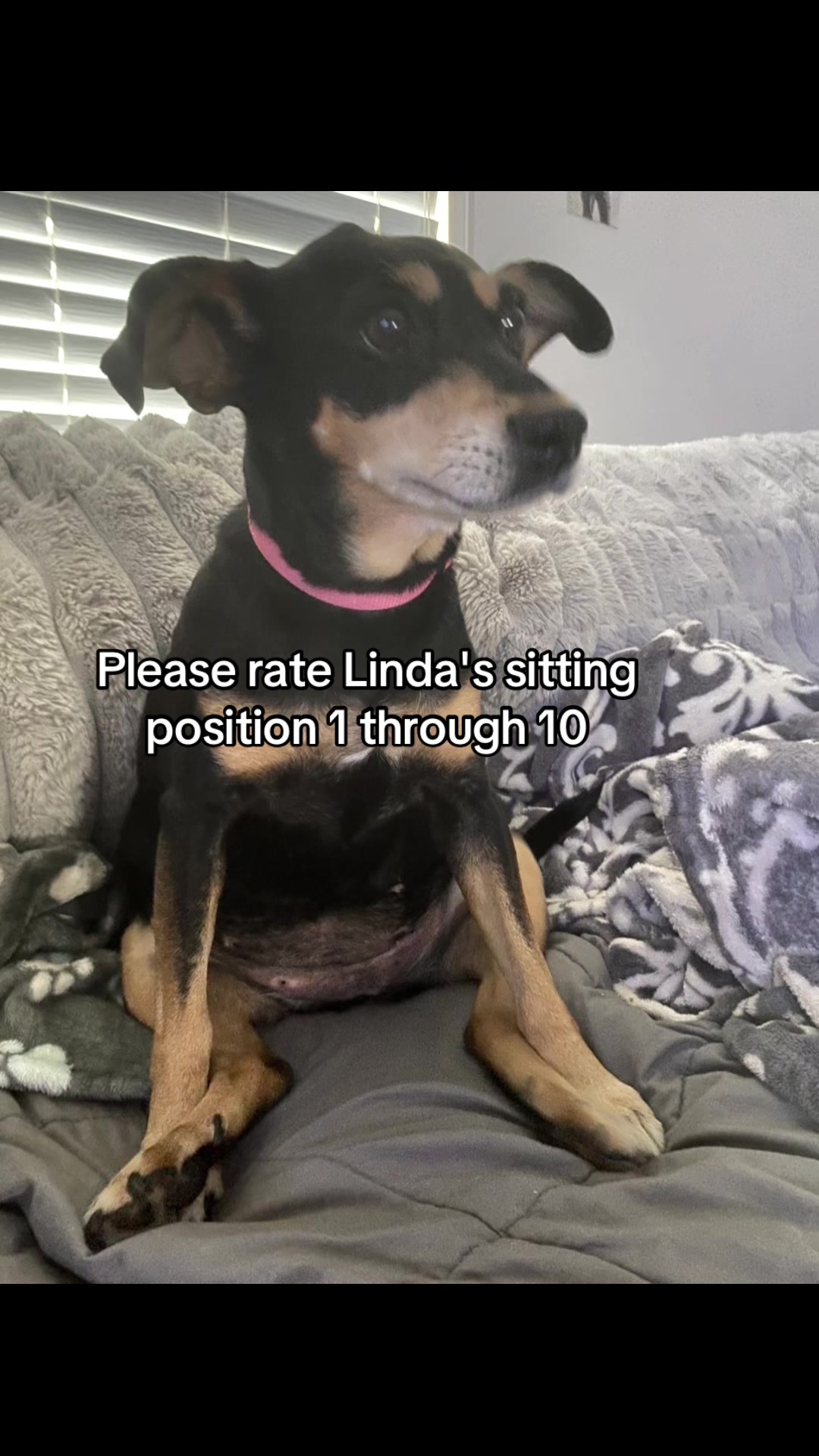@Linda Longnips