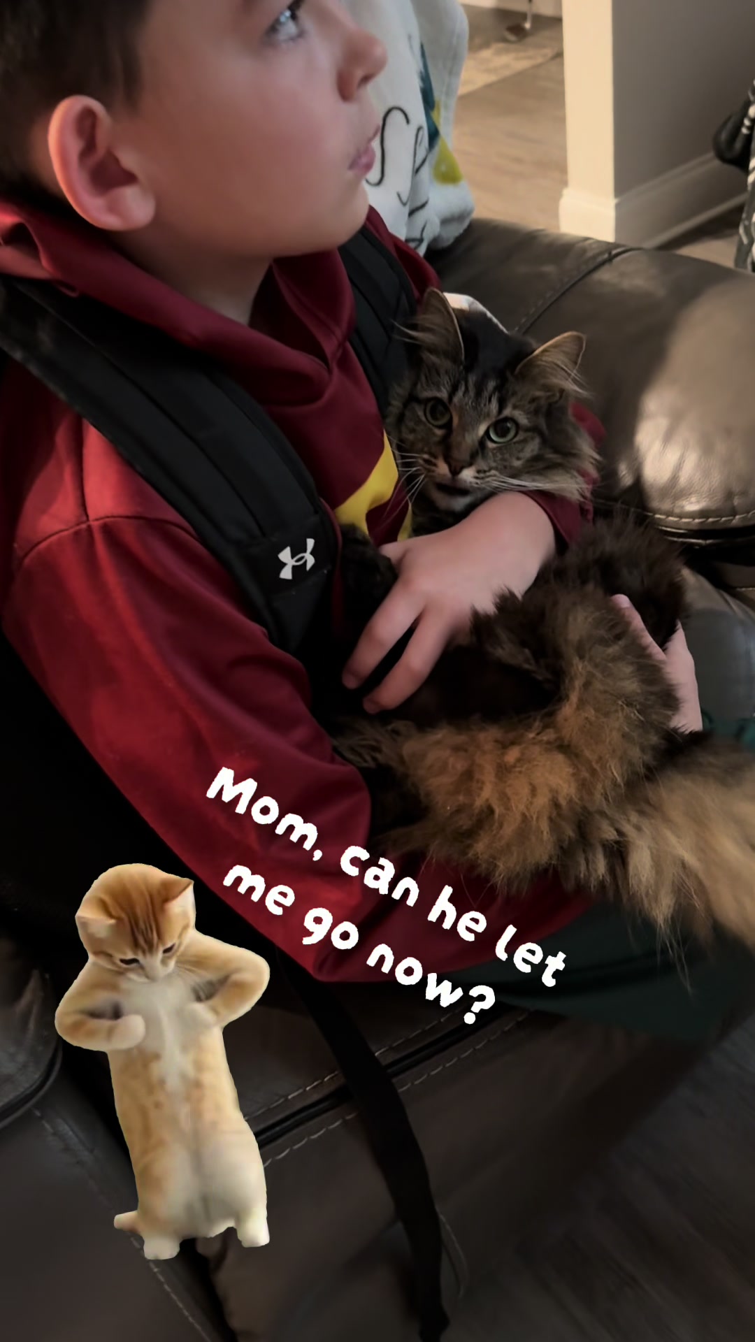 @RoxySnowballCatDrama