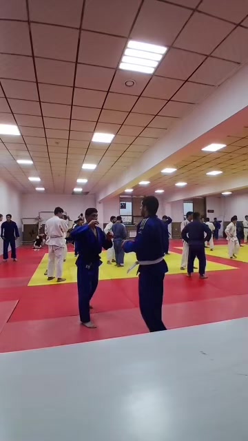 @mir_judo