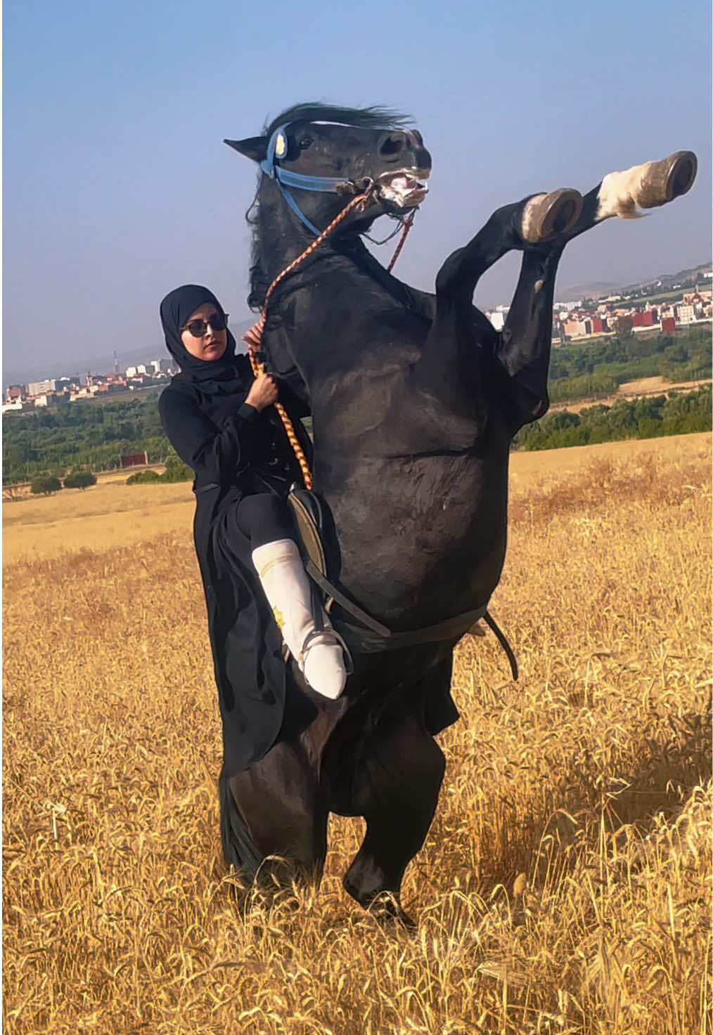 @cavaliere_ouidad
