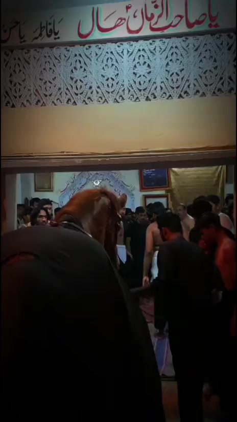 @مرکزی ذوالجناح تلہ گنگ